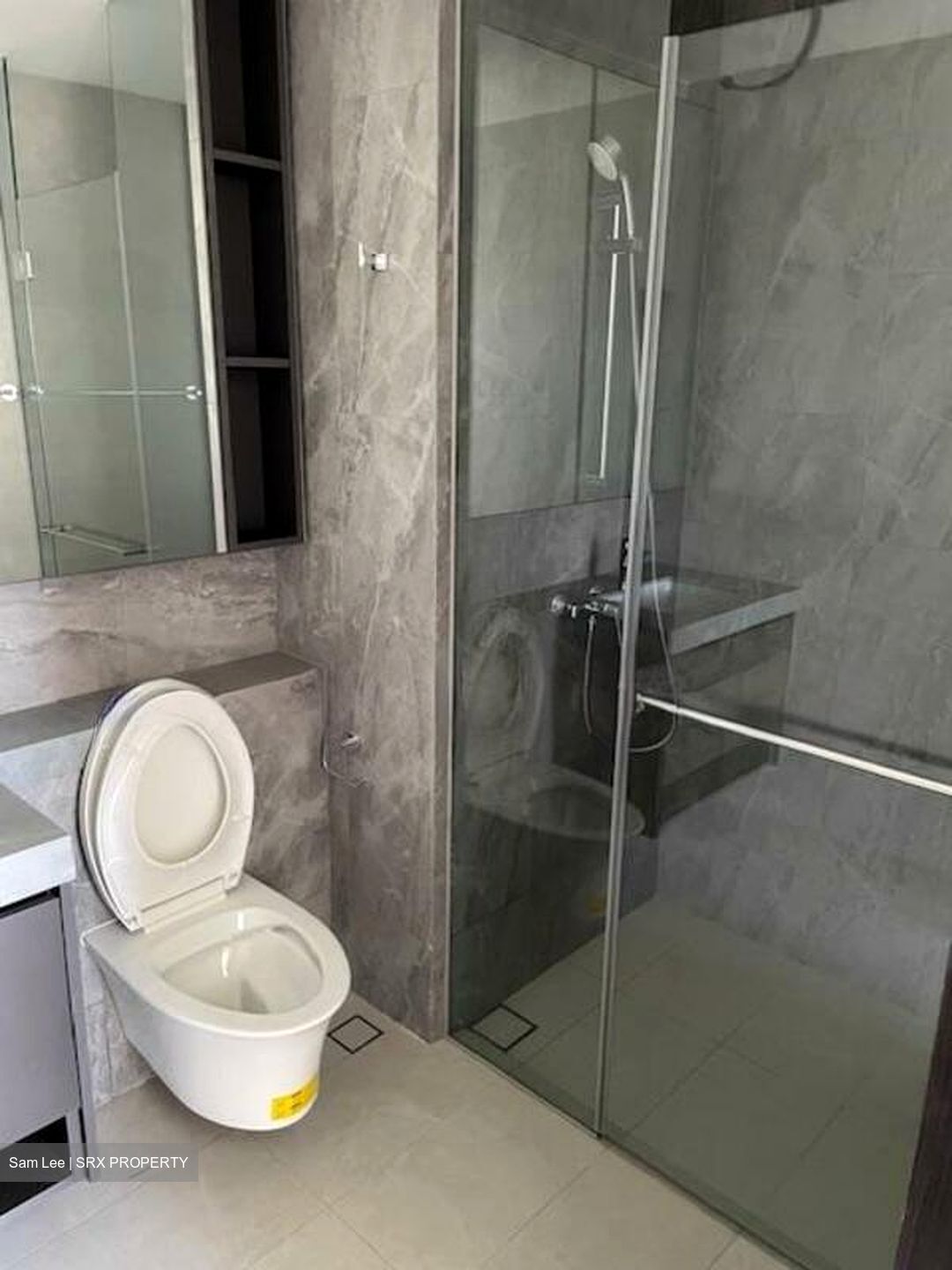 Parc Clematis (D5), Apartment #517047261